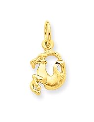 14k Yellow Gold Capricorn Zodiac Charm