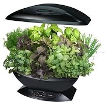 Aero Garden - Automatic Indoor Fresh Garden Growing System - Black