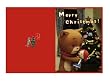 こま撮りえいが こまねこのクリスマス ~迷子になったプレゼント~DVD-BOX (初回限定生産)