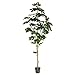 Vickerman 525692-6