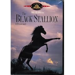 Black Stallion, the