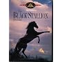 Black Stallion, the <b>DVD</b> ~ DVD