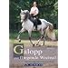 Galopp und fliegende Wechsel: Vom Grundgalopp zum Einerwechsel