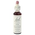 Nelson Bach USA - Pine, 20 Milliliter liquid