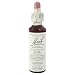 Nelson Bach USA - Pine, 20 Milliliter liquid