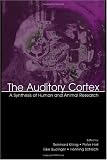 Auditory Cortex: Synthesis of Human and Animal Research