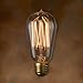 Bulbrite NOS40-1910-6PK 40W Nostalgic Edison Squirrel Cage-style Bulb, 6-Pack