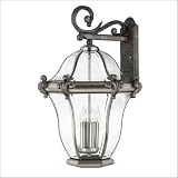 Pewter Olde Iron Collection 28 High Outdoor Wall Light