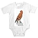Onesie with hawk, harrier, bird, animal, predator
