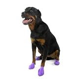 Pawz ポウズドッグブーツ 12個セット Lサイズ