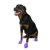 Pawz Purple Water-Proof Dog Boot, Large, Up to 4-Inch