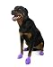 Pawz Purple Water-Proof Dog Boot, Large, Up to 4-Inch