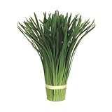 New - Club Pack of 12 Small Artificial Onion Grass Bouquet Holders 12 by... by Gordon