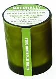 Upper Canada Soap Naturally Beeswax Candle, Wild Mint Lime, 9.5-Ounce