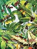 Jumpers and Crawlers 60-Piece Puzzle