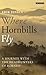 Where Hornbills Fly: A Journey with the Headhunters of Borneo