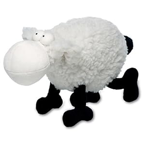 http://ecx.images-amazon.com/images/I/41%2B9eS5oxmL._SL500_AA300_.jpg