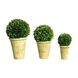 Preserved Boxwood Ball In Pot 3pc Set (4",5",6" Balls)