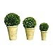 Preserved Boxwood Ball In Pot 3pc Set (4