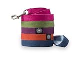 Planet Dog 5-Inch Lil Hemp Leash with Fleece Lined Handle, Natural Reviews