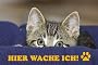 Metall-Warnschild