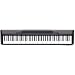 Casio CDP-100 88 Note Digital Piano