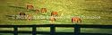Window Graphic - 16x54 Grazing Horses