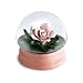 Pink Rose Water Globe