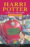 Harri Potter maen yr Athronydd (Welsh language edition)