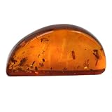 Genuine Baltic Honey Amber Polished Drilled Gemstone