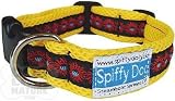 Spiffy Dog Yellow Sunfire Collar - Extra Small