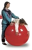 Sensory Ball