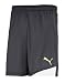 PUMA Herren Esito Shorts with inner slip