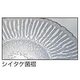 アーテック 植物組織プレパラートC 94739