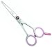 Joewell Classic Pink 5.5 Hairdressing Scissors