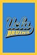 UCLA Bruins Flag - Regular Size