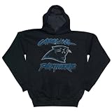 Reebok Carolina Panthers Ash Playbook Hoody Sweatshirt