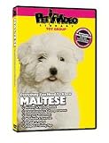 Maltese DVD, Dog Guide DVD, Books, Pet Accessory, Home & Garden