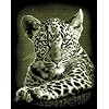 Reeves - Copper Scraperfoil Leopard Cub