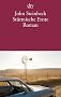 St�rmische Ernte: Roman