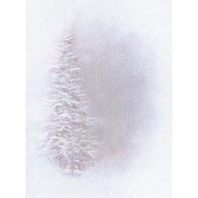 StudioHut 10' X 20' Holiday Series Painted Muslin Photo Video Backdrop/Background (K12253)