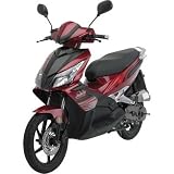 Universal Product Concepts Hybrid Scooter - 49cc, 500 Watt, Model# 00251