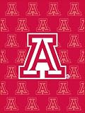 Arizona Wildcats College Collection Blanket
