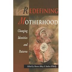 Redefining Motherhood: Changing the Identities and Patterns (Women's Issues Publishing Program)