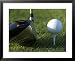 Close View of a Driver Before Hitting a Golf Ball on a Tee, Groton, Connecticut Framed Art Poster Print by Todd Gipstein, 31x25