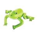 Inflatable Frog Life Cycle