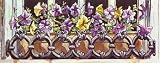 Window Petunias - Artist: Mark Lee Goldberg - Art Print Poster Size: 20.00 by 8.00 inches