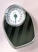 Taylor Precision Products 13505072J Mechanical Analog Bath Scale 300 Lbs.