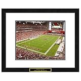 Arizona Cardinals NFL Framed Double Matted Stadium Print