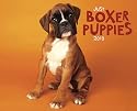 Just Boxer Puppies 2010 Calendar